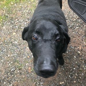 Meet your Posher, Martin